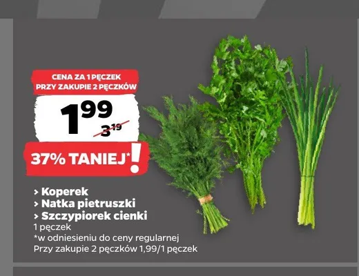 Natka pietruszki promocja w Netto