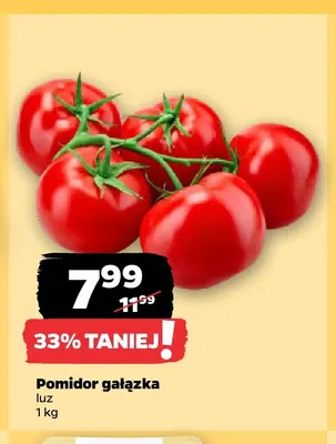 Pomidory gałązka promocja w Netto
