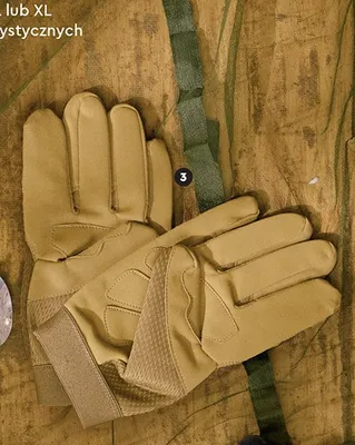 Rękawice taktyczne w rozmiarze L lub XL promocja w Biedronka