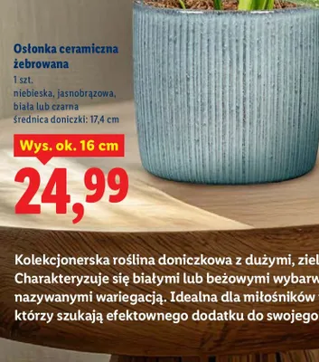 Osłonka ceramiczna żebrowana promocja w Lidl
