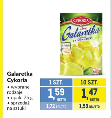 Galaretka Cykoria promocja w Makro