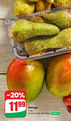 Mango promocja w Dino