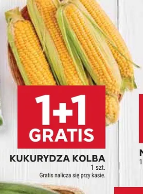 Kukurydza kolba promocja w Stokrotka