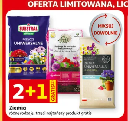 Podłoże do kwiatów balkonowych Jeżyk promocja w Auchan