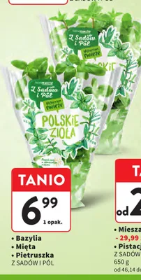Bazylia Z Sadów I Pól promocja w Intermarche