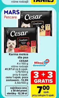 Karma mokra dla psa Cesar 4-pak promocja w Carrefour Market