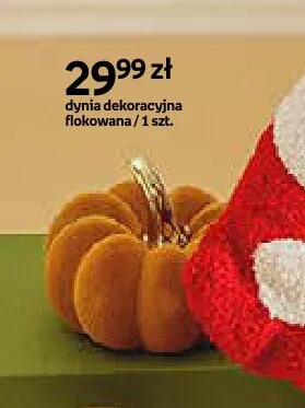 Dynia dekoracyjna flokowana promocja w Empik