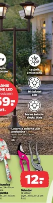 Latarnia solarna LED podwójna promocja w Netto