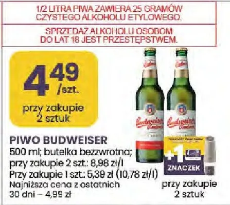 Piwo Budweiser promocja w Stokrotka