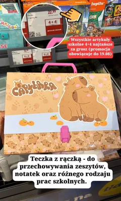 Teczka z rączką A4 Derform Capybara promocja w Lidl
