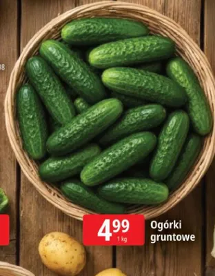 Ogórki gruntowe promocja w Leclerc