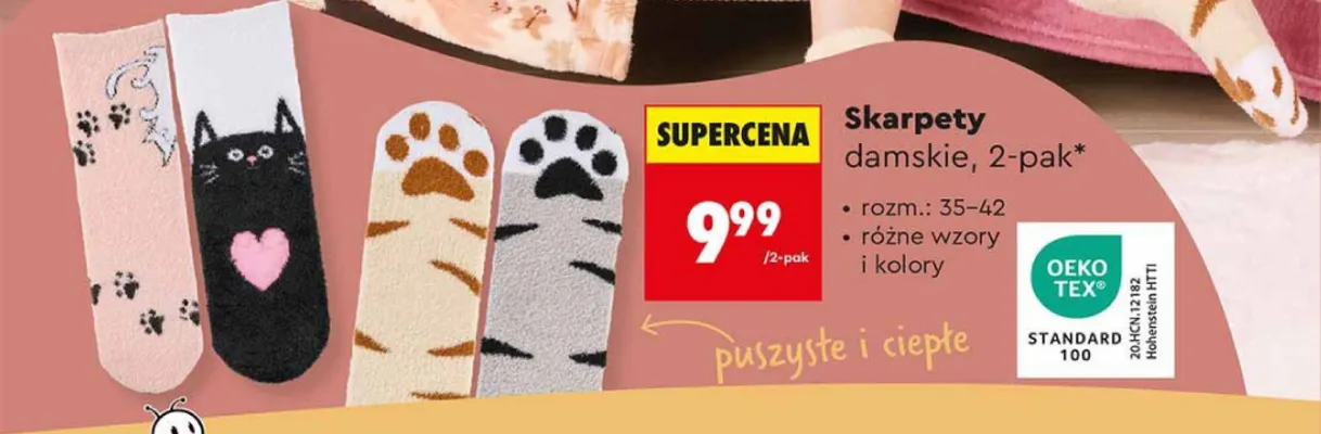 Skarpety damskie promocja w Biedronka