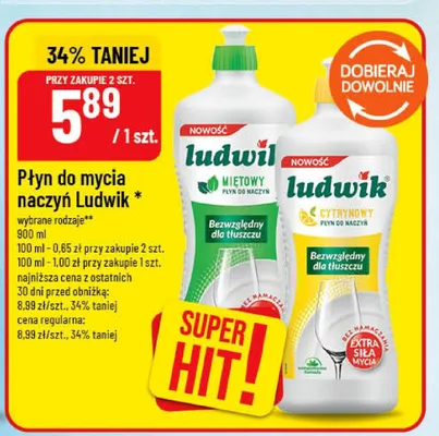 Płyn do mycia naczyń Ludwik miętowy promocja w POLOmarket