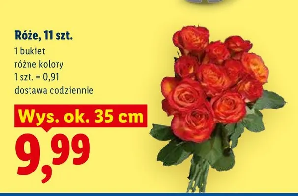 Róże bukiet promocja w Lidl