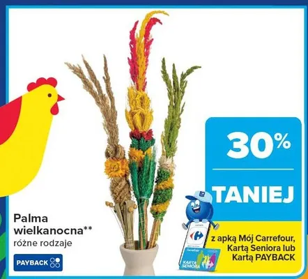 Palma wielkanocna różne rodzaje promocja w Carrefour