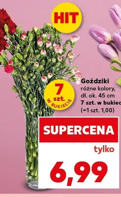 Goździki dł. ok. 45cm 7szt. w bukiecie promocja w Kaufland