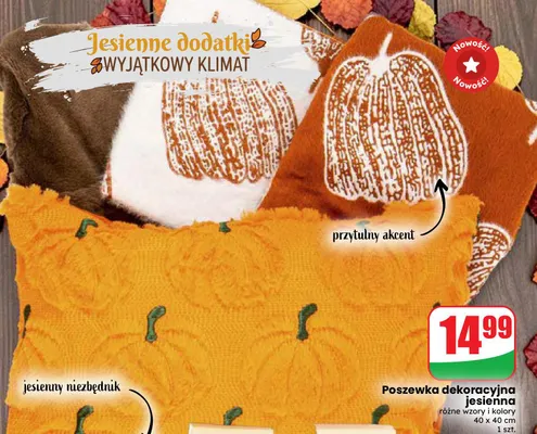 Poszewka dekoracyjna jesienna 40x40 cm promocja w Dino