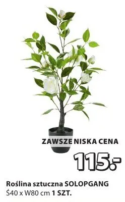 Roślina sztuczna promocja w Jysk