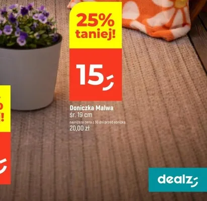 Doniczka Malwa śr. 19cm promocja w Dealz