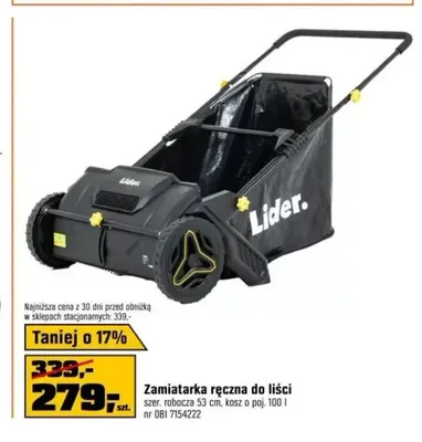 Zamiatarka ręczna do liści Lider promocja w OBI