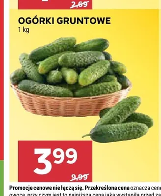 Ogórki gruntowe promocja w Stokrotka