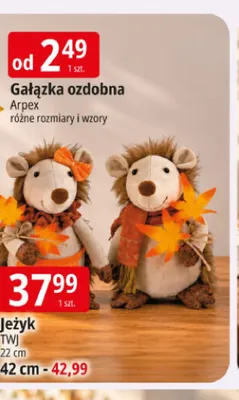 Jeżyk Twj 22 cm promocja w Leclerc