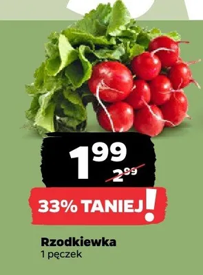 Rzodkiewka promocja w Netto