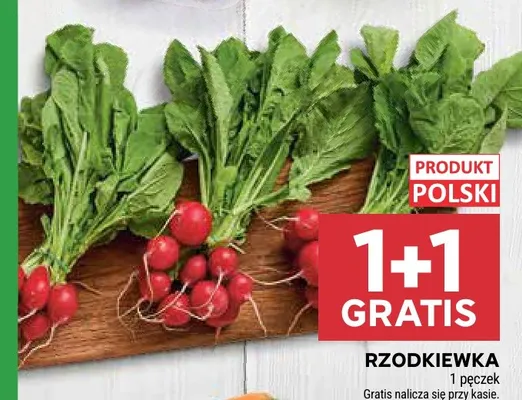 Rzodkiewka promocja w Stokrotka
