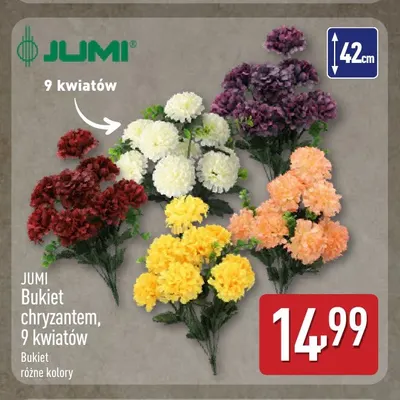 Bukiet chryzantem 9 kwiatów Jumi promocja w Aldi