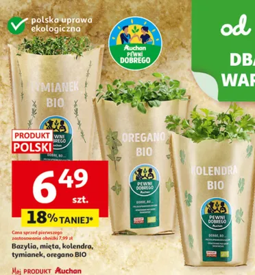 Bazylia, mięta, kolendra, tymianek, oregano BIO promocja w Auchan