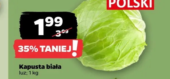 Kapusta biała promocja w Netto