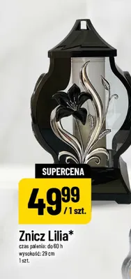 Znicz Lilia promocja w POLOmarket