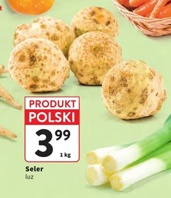 Seler promocja w Intermarche