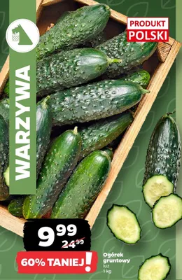 Ogórek gruntowy luz promocja w Netto
