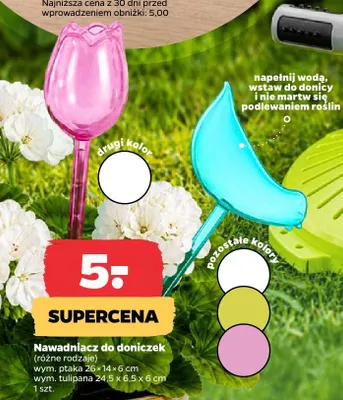 Nawadniacz do doniczek promocja w Netto