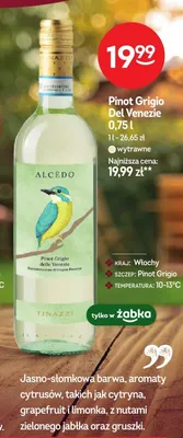 Wino Pinot Grigio delle Venezie Alcèdo promocja w Żabka