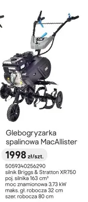 Glebogryzarka spalinowa promocja w Castorama