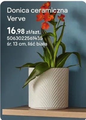 Donica ceramiczna Verve liść biała promocja w Castorama