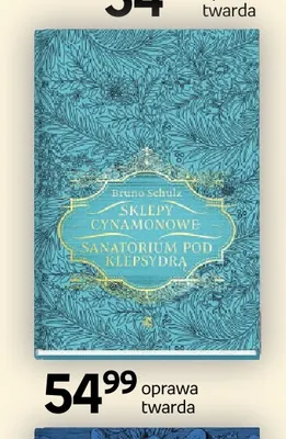 Książka Sklepy cynamonowe Sanatorium pod klepsydrą Bruno Schulz W.A.B. promocja w Empik