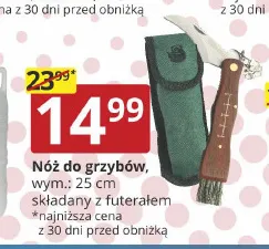 Nóż do grzybów składany z futerałem 25 cm promocja w Prymus AGD