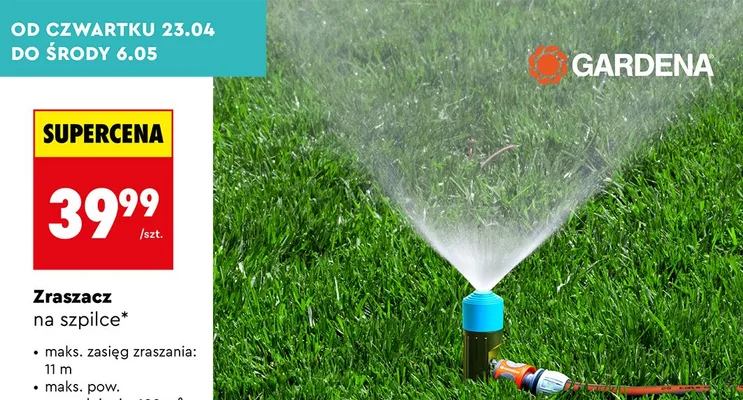Zraszacz na szpilce promocja w Biedronka