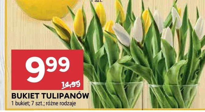 Bukiet tulipanów promocja w Stokrotka