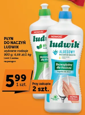Płyn do naczyń Ludwik miętowy promocja w Groszek
