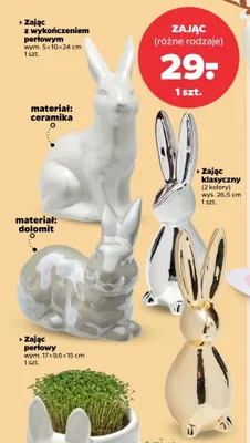 Zając perłowy promocja w Netto