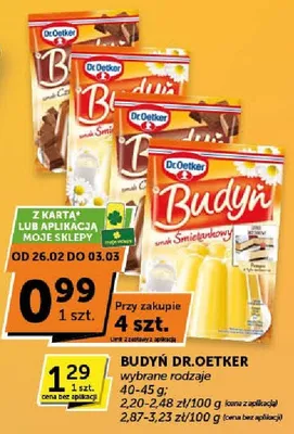 Budyń wybrane rodzaje promocja w Groszek