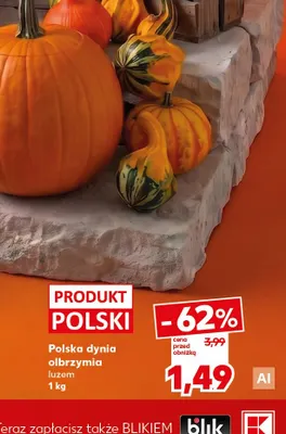Dynia olbrzymia polska promocja w Kaufland
