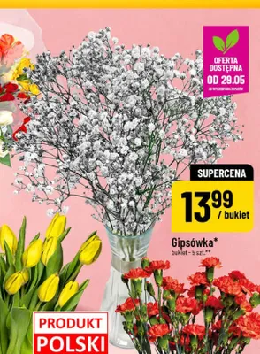 Gipsówka promocja w POLOmarket