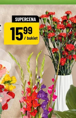 Goździki 7-pak promocja w POLOmarket