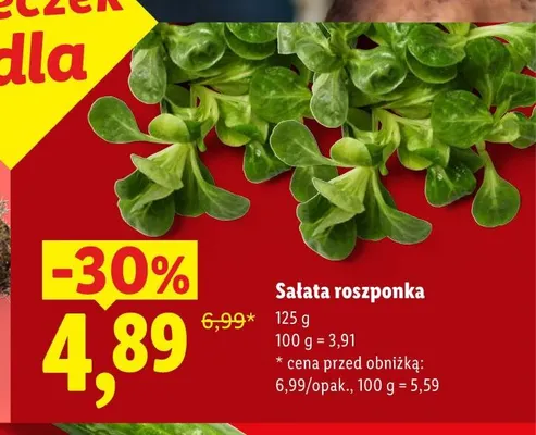 Sałata roszponka promocja w Lidl