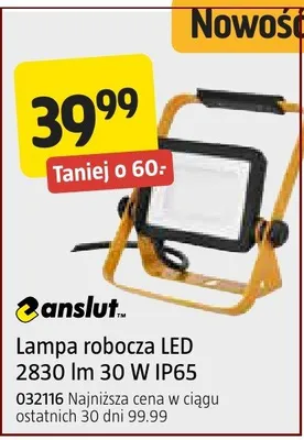 Lampa robocza LED 2830 lm 30 W IP65 promocja w Jula
